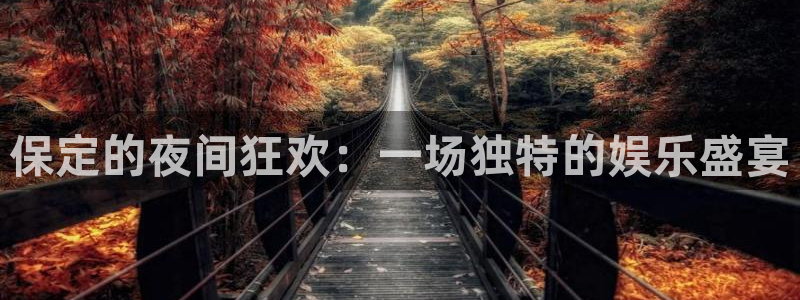 摩根娱乐：保定的夜间狂欢：一场独特的娱乐盛宴