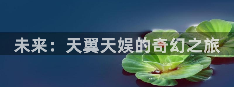 摩根娱乐：未来：天翼天娱的奇幻之旅