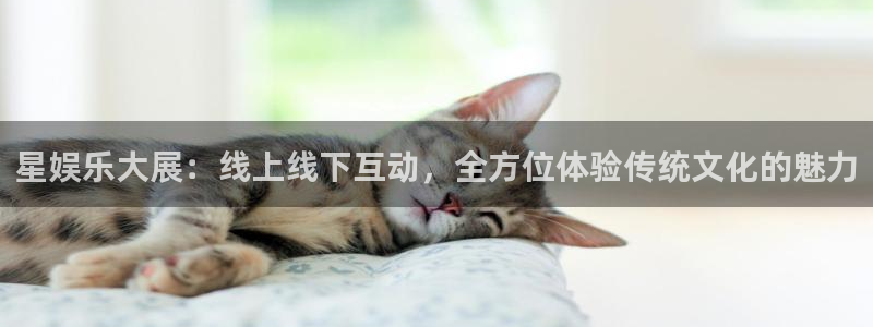 摩根娱乐：星娱乐大展：线上线下互动，全方位体验传统文化的魅力