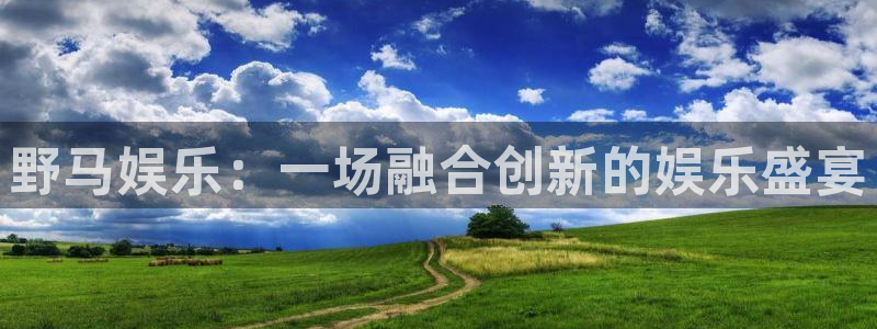 摩根娱乐：野马娱乐：一场融合创新的娱乐盛宴