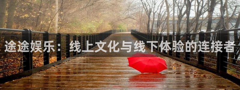 摩根娱乐：途途娱乐：线上文化与线下体验的连接者