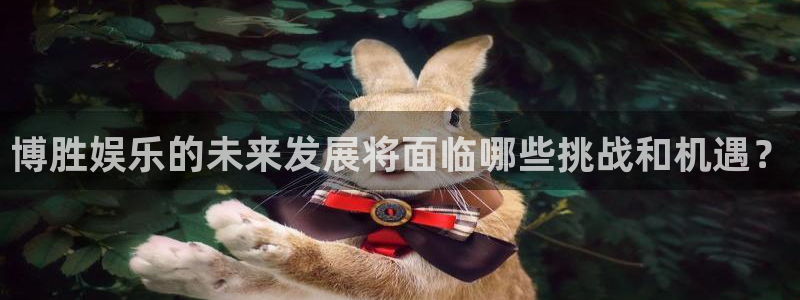 摩根娱乐：博胜娱乐的未来发展将面临哪些挑战和机遇？