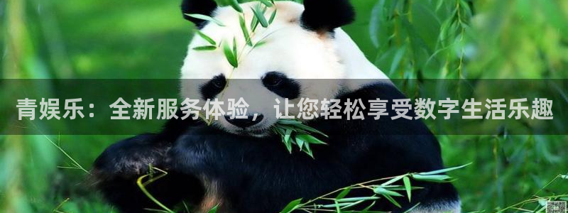 摩根娱乐：青娱乐：全新服务体验，让您轻松享受数字生活乐趣