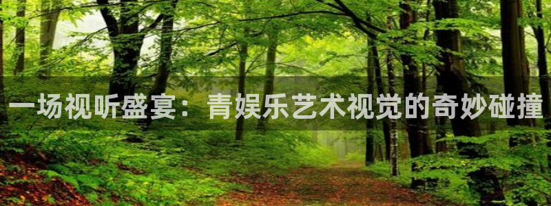 摩根娱乐：一场视听盛宴：青娱乐艺术视觉的奇妙碰撞