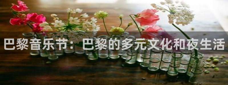 摩根娱乐：巴黎音乐节：巴黎的多元文化和夜生活