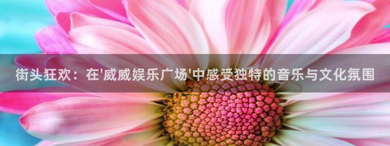 摩根娱乐：街头狂欢：在\'威威娱乐广场\'中感受独特的音乐与文化氛围